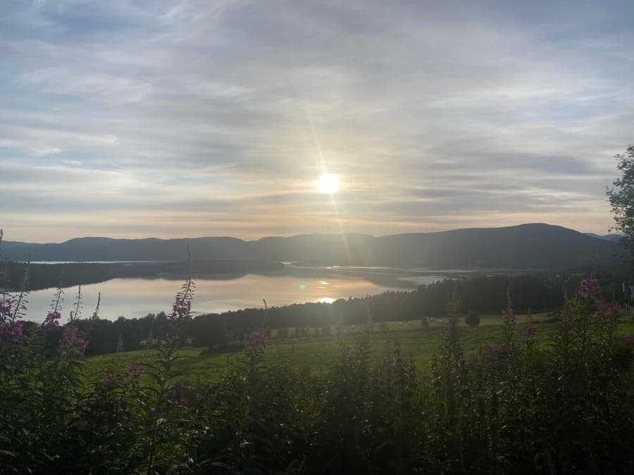 Solnedgång över en lugn sjö med berg i fjärran, sedd över blommande fält.