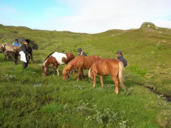 Tredagarstur i fjällen med islandshästar