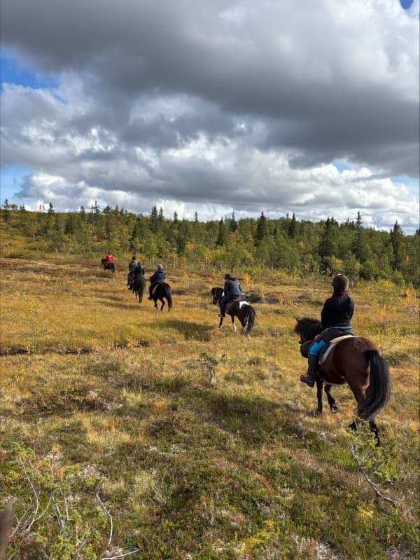 Ridtur i fjällskog